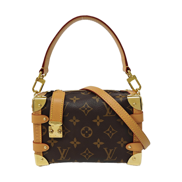 SIDE TRUNK PM Monogram Coated Canvas Brown