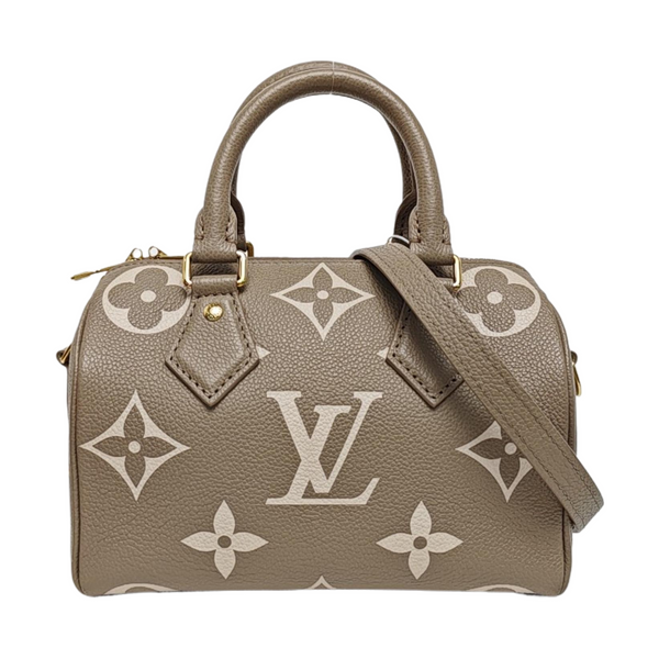 SPEEDY 20 Monogram Calfskin Gray