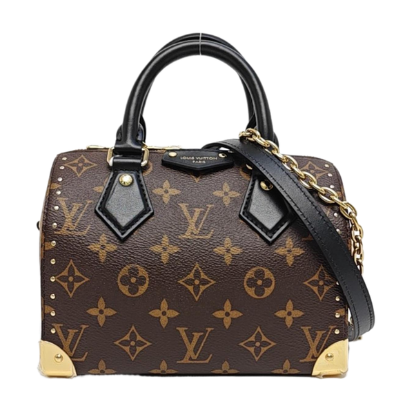 SPEEDY TRUNK 20 Monogram Coated Canvas Brown