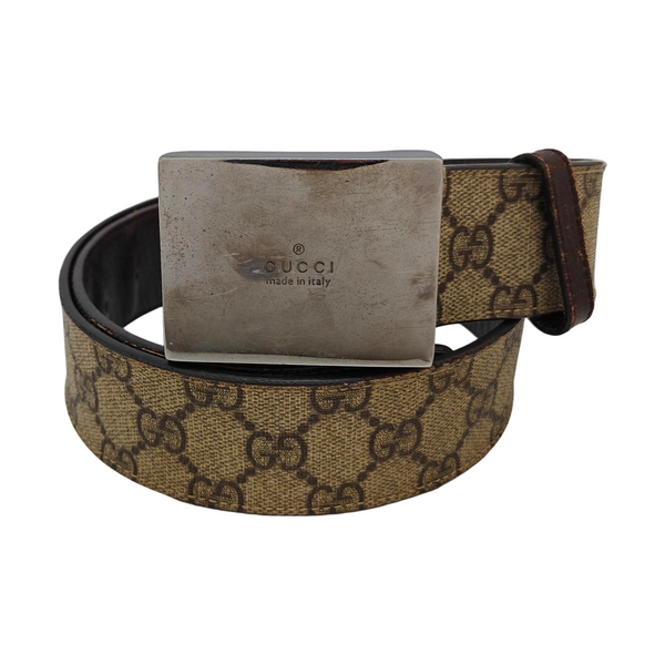 Brown Coated Canvas Belt