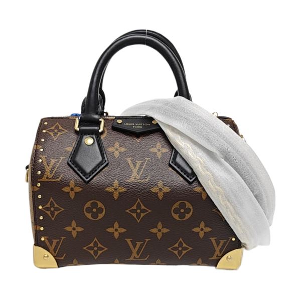 SPEEDY TRUNK 20 Monogram Coated Canvas Brown