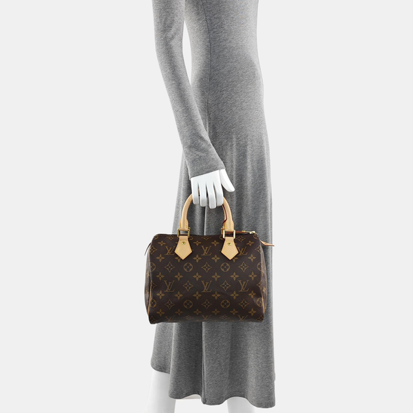 SPEEDY 25 Monogram Coated Canvas Brown