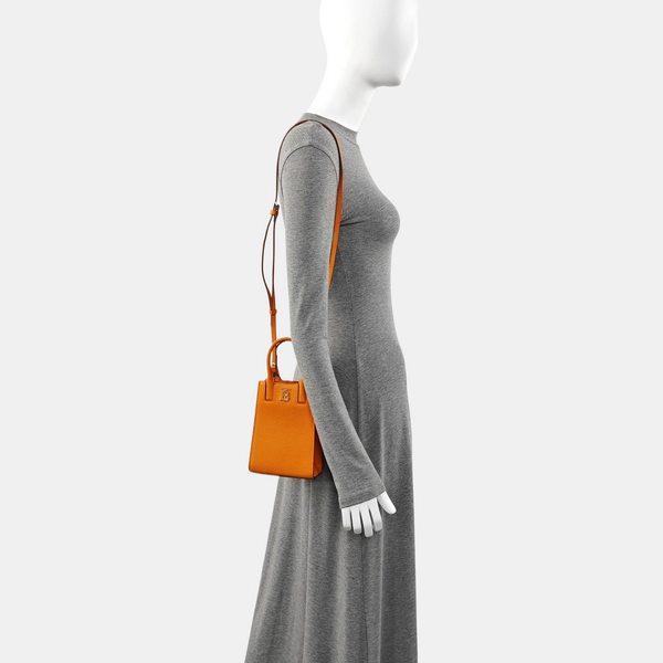 Frances Extra Small Calfskin Orange