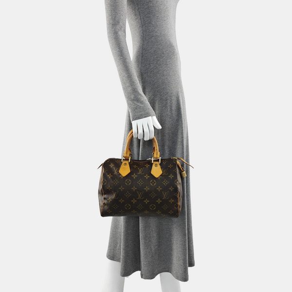 SPEEDY 25 Monogram Coated Canvas Brown
