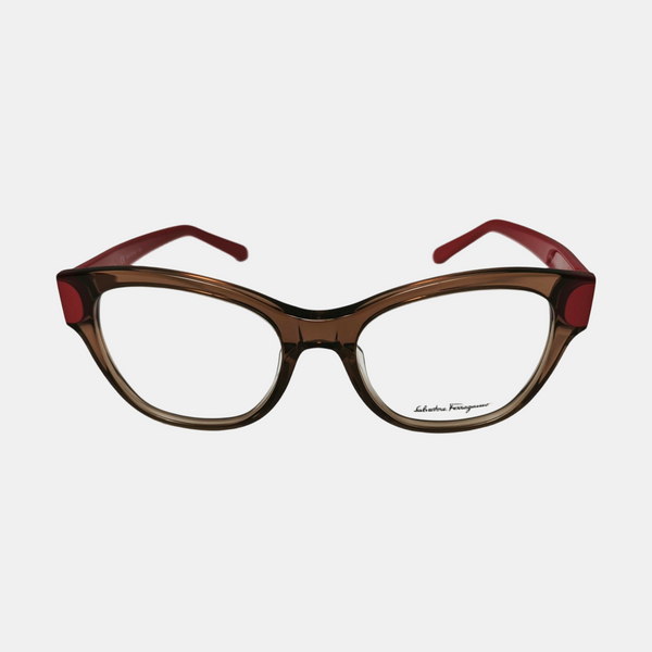 Synthetic Eyeglasses Brown