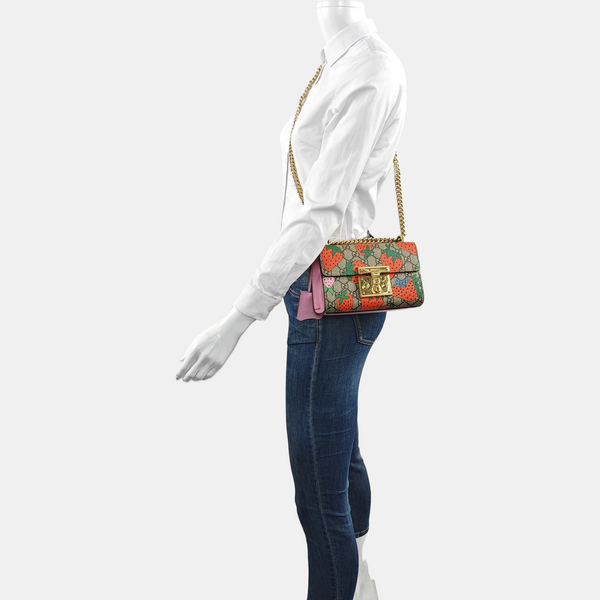 Padlock Small Monogram Coated Canvas Multicolor