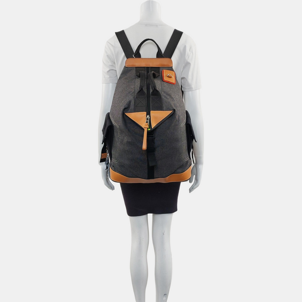 Eye/loewe/nature Canvas Gray