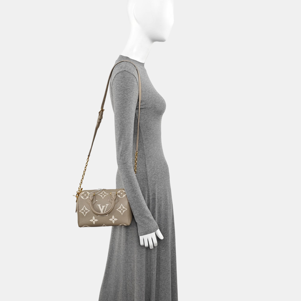 SPEEDY 20 Monogram Calfskin Gray