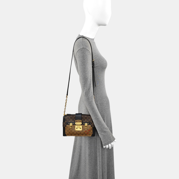 TRUNK Monogram Coated Canvas Brown