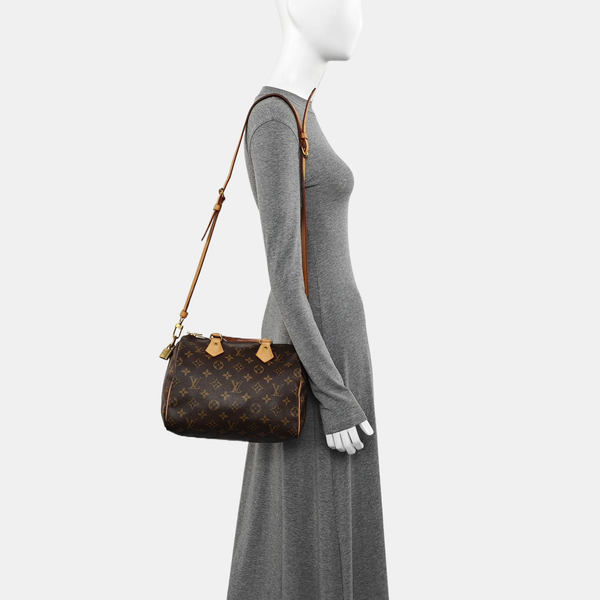 SPEEDY 25 Monogram Coated Canvas Brown