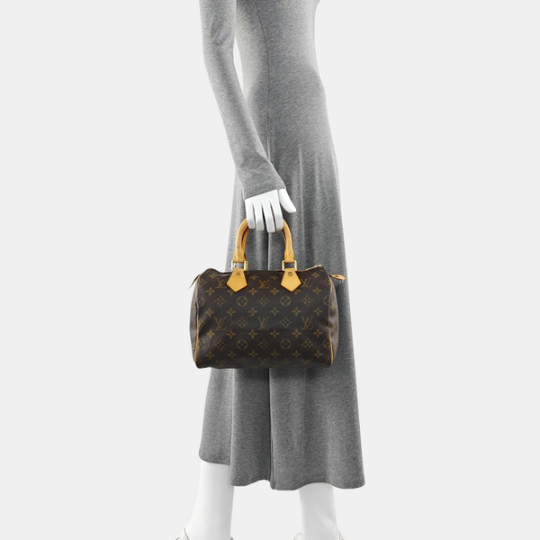 SPEEDY 25 Monogram Coated Canvas Brown