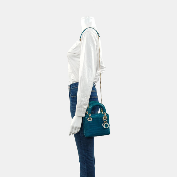 Crocodile Blue