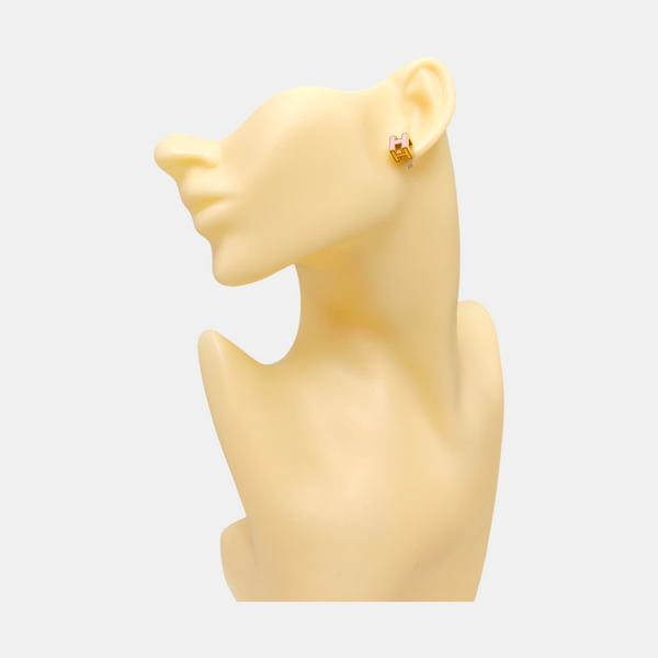 Cage D'h Metal Pink Stud Earrings
