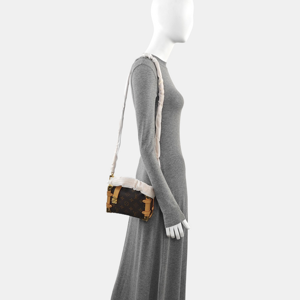 SIDE TRUNK PM Monogram Coated Canvas Brown