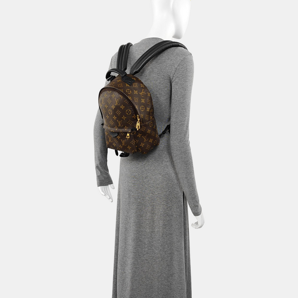 PALM SPRINGS PM Monogram Coated Canvas Brown