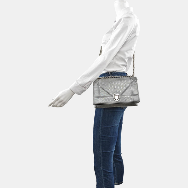 Diorama Medium Calfskin Gray