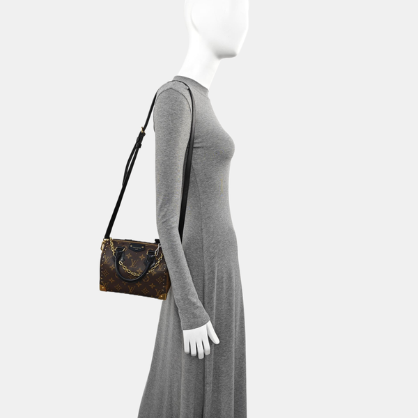 SPEEDY TRUNK 20 Monogram Coated Canvas Brown