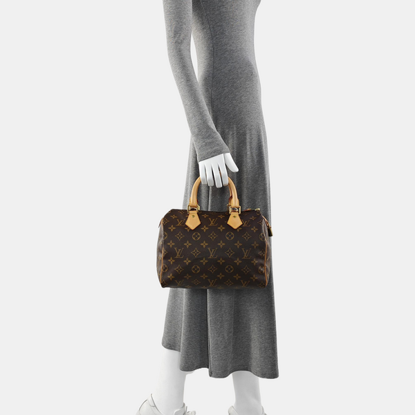 SPEEDY 25 Monogram Coated Canvas Brown