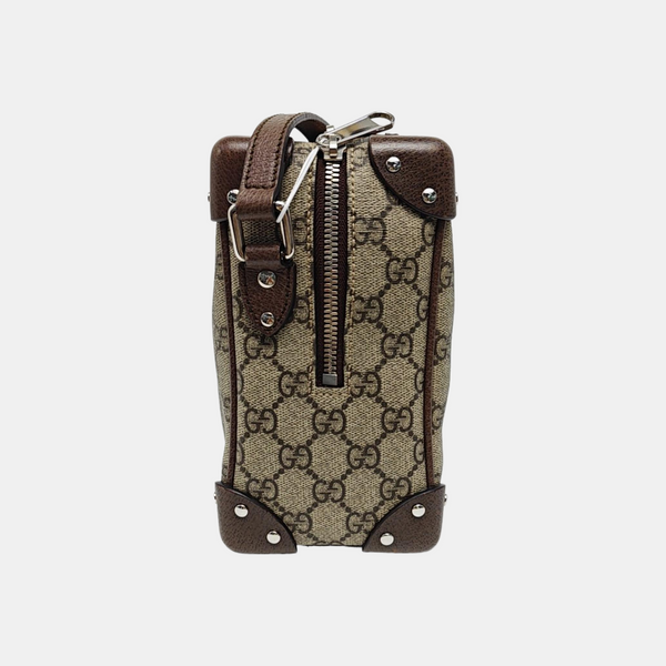 Trunk Monogram Coated Canvas Brown