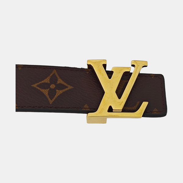 Coated Canvas Belt Brown