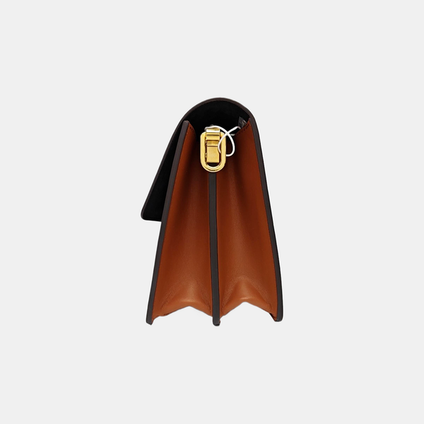 DAUPHINE MM Monogram Coated Canvas Brown
