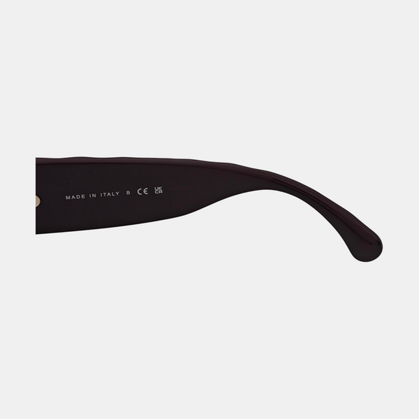 Synthetic Sunglasses Purple
