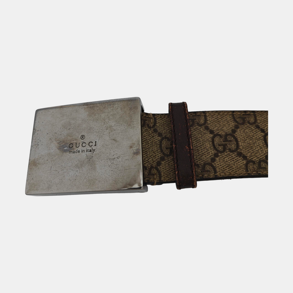 Brown Coated Canvas Belt