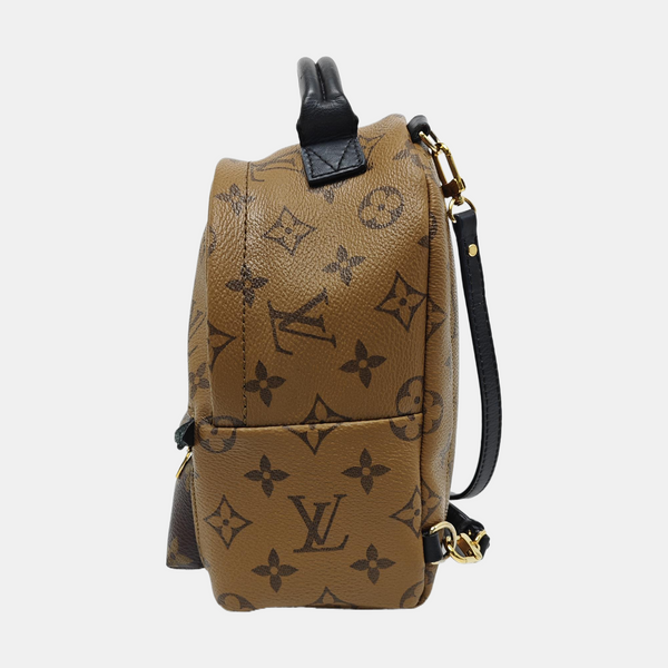 PALM SPRINGS Mini Monogram Coated Canvas Brown