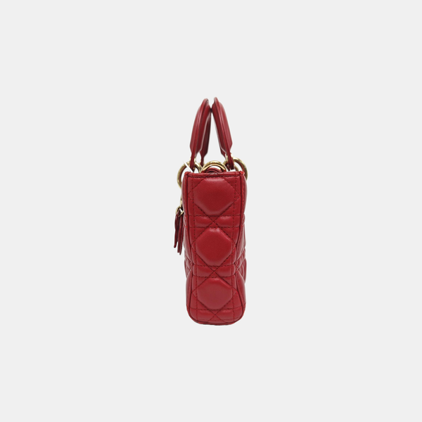 Lady D-Joy Medium Cannage Lambskin Multicolor
