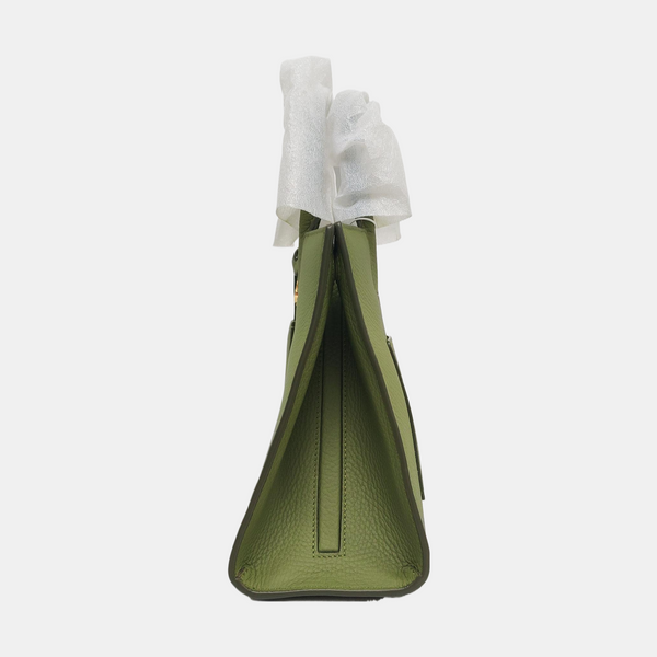 Frances Mini Calfskin Green