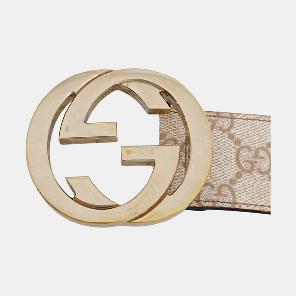 Coated Canvas Belt Beige
