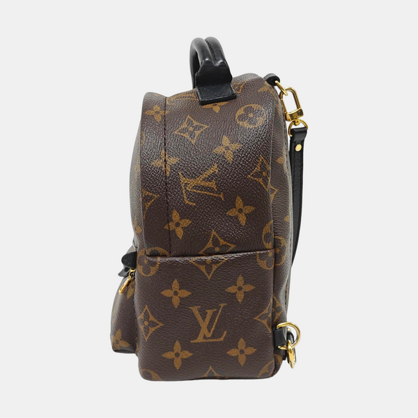 PALM SPRINGS Mini Monogram Coated Canvas Brown