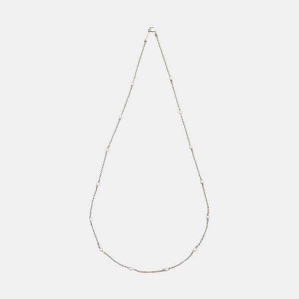 Elsa Peretti 18k White Gold Silver Necklace