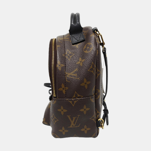 PALM SPRINGS Mini Monogram Coated Canvas Brown