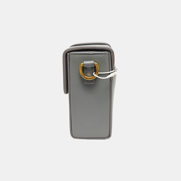 30 Montaigne Mini Oblique Calfskin Gray