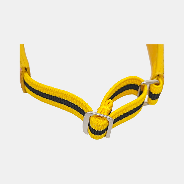 Leather Yellow Bangle