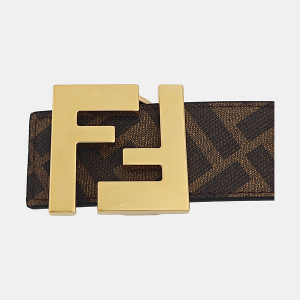 Coated Canvas Belt Brown