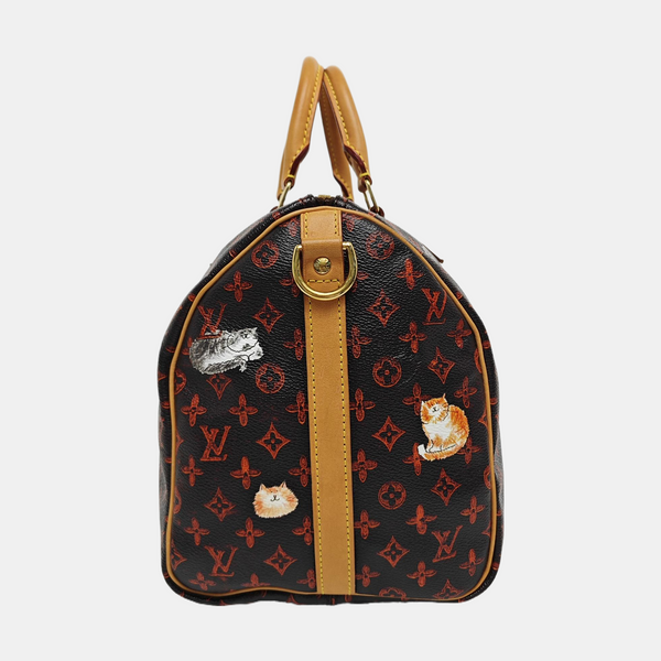 SPEEDY 30 Monogram Coated Canvas Brown