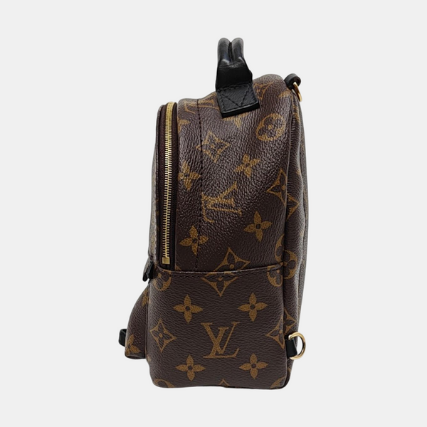 PALM SPRINGS Mini Monogram Coated Canvas Brown