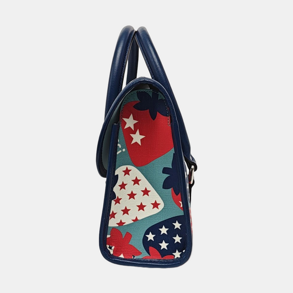 Coated Canvas Multicolor