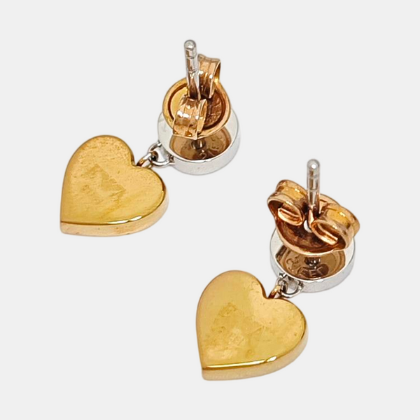 Stainless Steel Silver Earrings