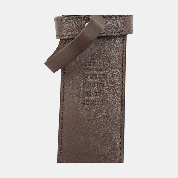 Coated Canvas Belt Brown