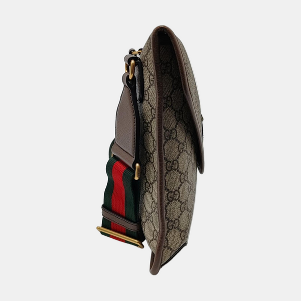 Neo Vintage Monogram Coated Canvas Brown