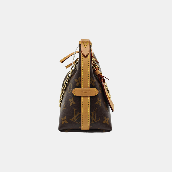 CARRYALL BB Monogram Coated Canvas Brown