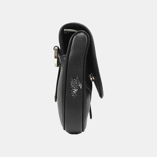 Saddle Mini Calfskin Black