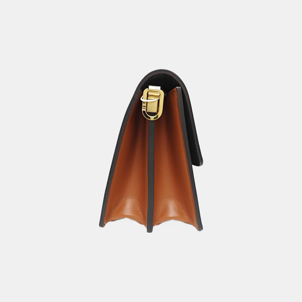 DAUPHINE MM Monogram Coated Canvas Brown
