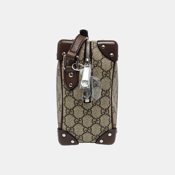 Trunk Monogram Coated Canvas Brown