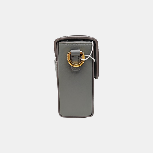 30 Montaigne Mini Calfskin Gray