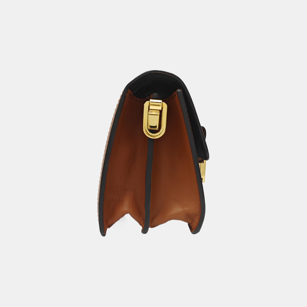 DAUPHINE Mini Calfskin Multicolor