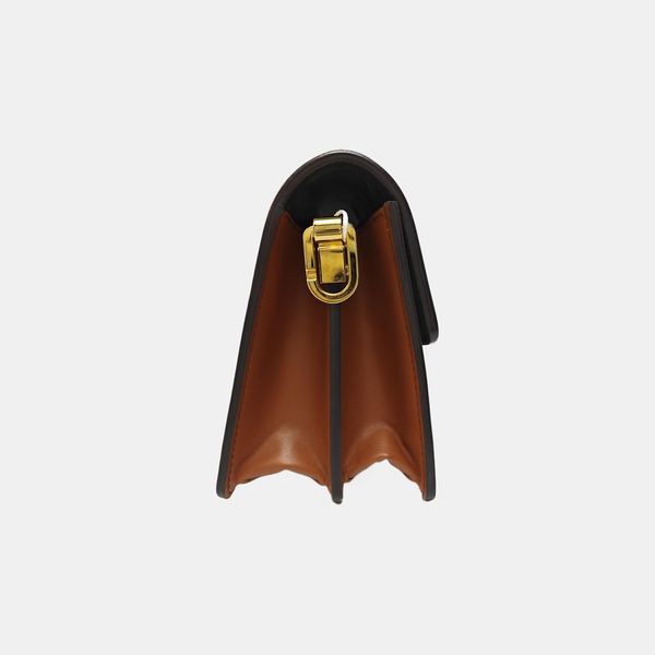 DAUPHINE Mini Monogram Coated Canvas Brown